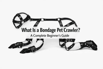 What Is a Bondage Pet Crawler? A Complete Beginner’s Guide