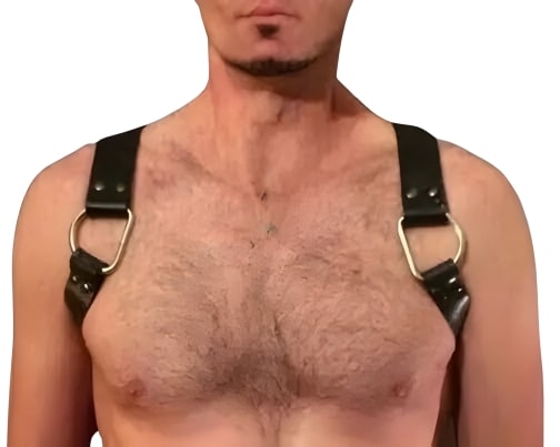 A model wearing Gay Bear Harness - front image