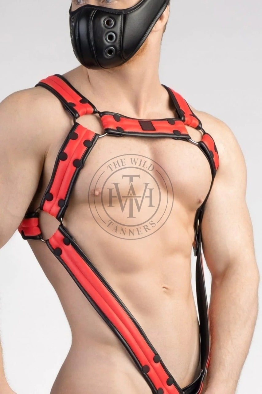 leather bulldog harness with cock ring & snap buttons