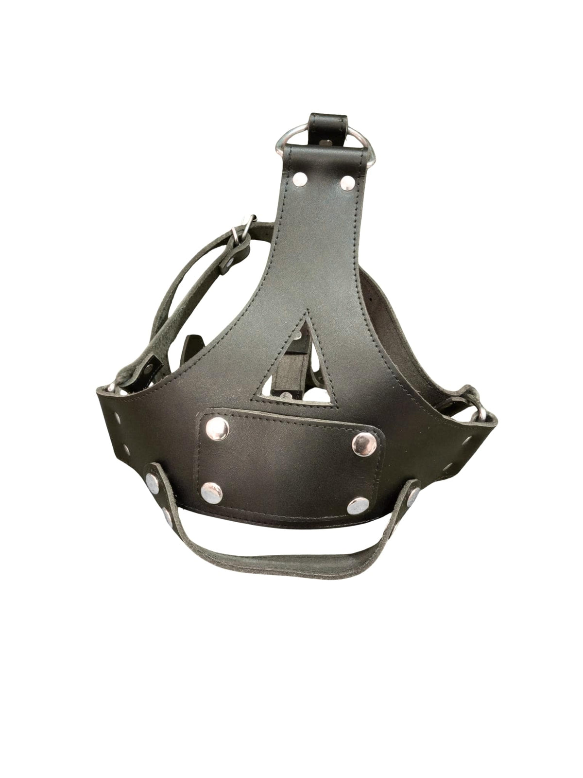 Front view of leather BDSM muzzle with detachable gag