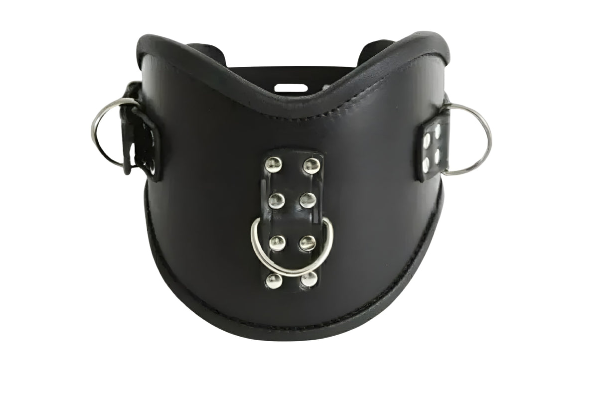Genuine Leather Bondage Posture Collar with D-Rings