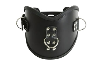 Genuine Leather Bondage Posture Collar with D-Rings