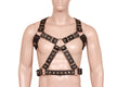 Front image of model wearing Gay Mens Harness