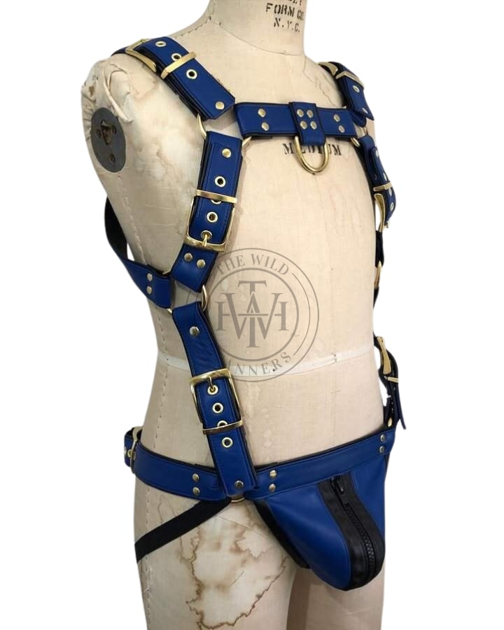 mens leather harness with jockstrap & brass hardware