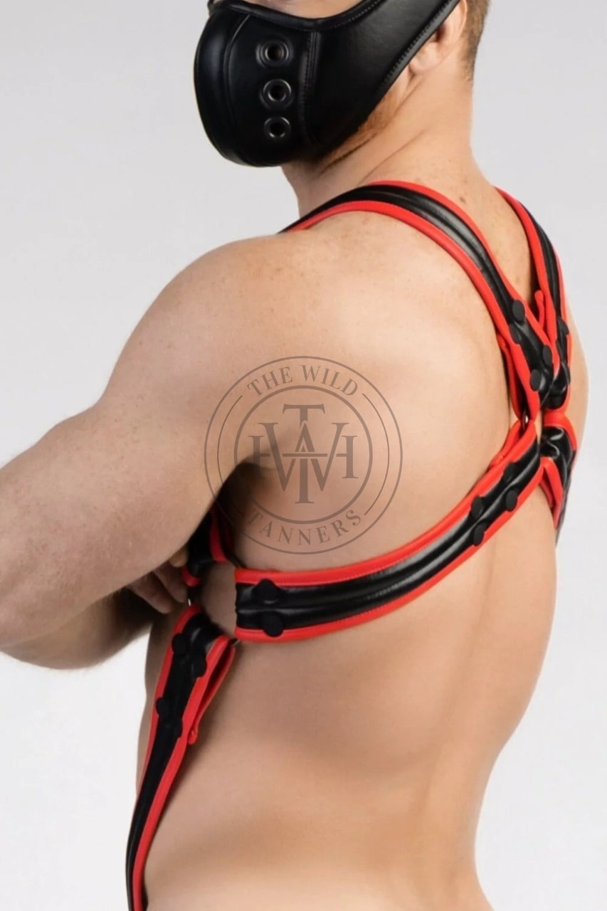 leather bulldog harness with cock ring & snap buttons