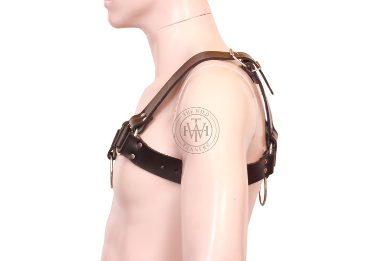 leather bulldog chest harness, leather harness, leather chest harness
