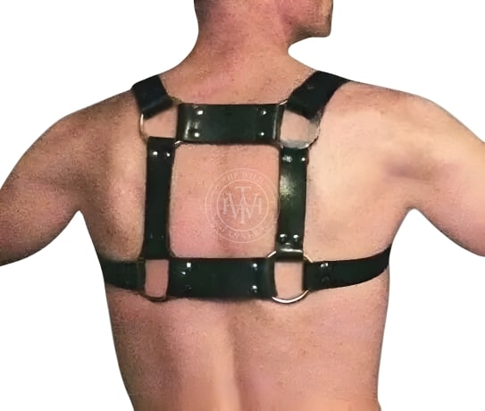 A model wearing Gay Bear Harness - backside view image
