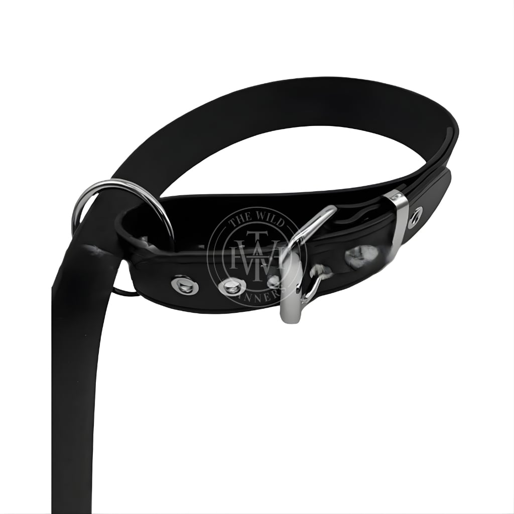 Genuine Leather Bondage Collar and Leash, view 3