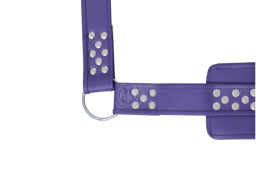Genuine Leather Bondage Sex Sling, view 4
