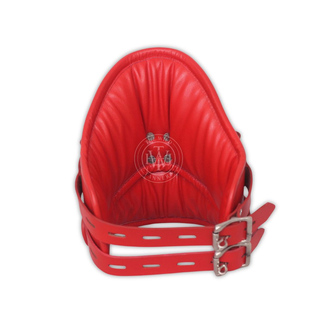 Red Leather Posture Collar With Locking Buckles, view 3