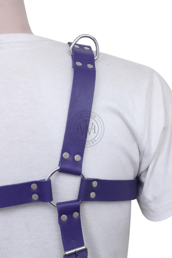 leather cock ring harness with full torso straps