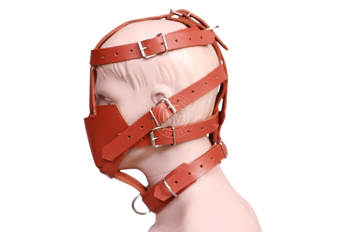BDSM Muzzle With Bondage Head Harness, view 3