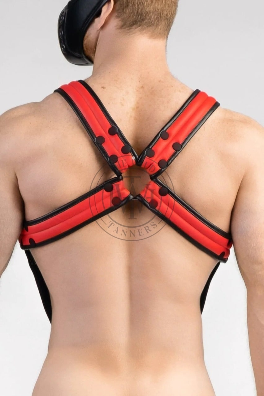 leather bulldog harness with cock ring & snap buttons