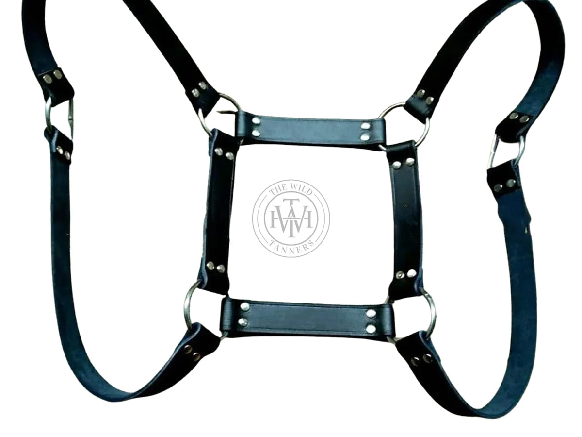 Gay Bear Harness, view 4
