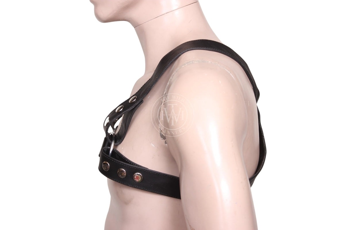 Gay Leather Harness, view 3