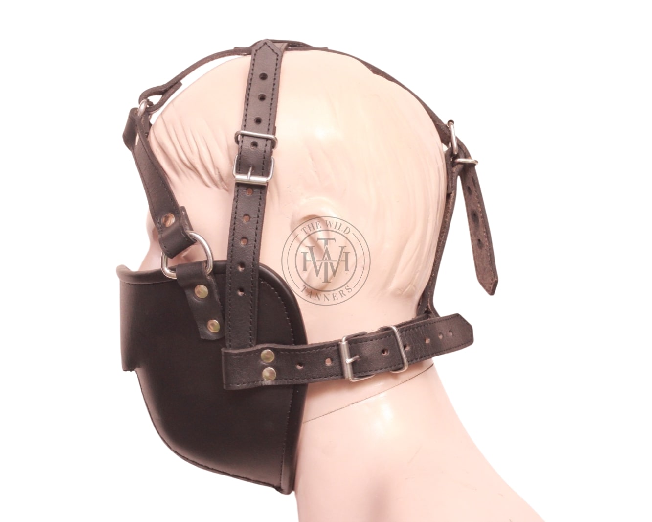 Front view of model wearing BDSM Head Harness