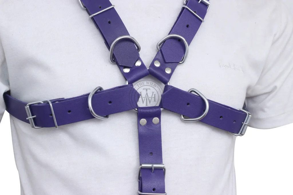 leather cock ring harness with full torso straps