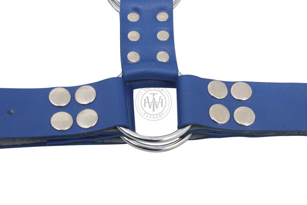 leather bondage chest harness with adjustable straps