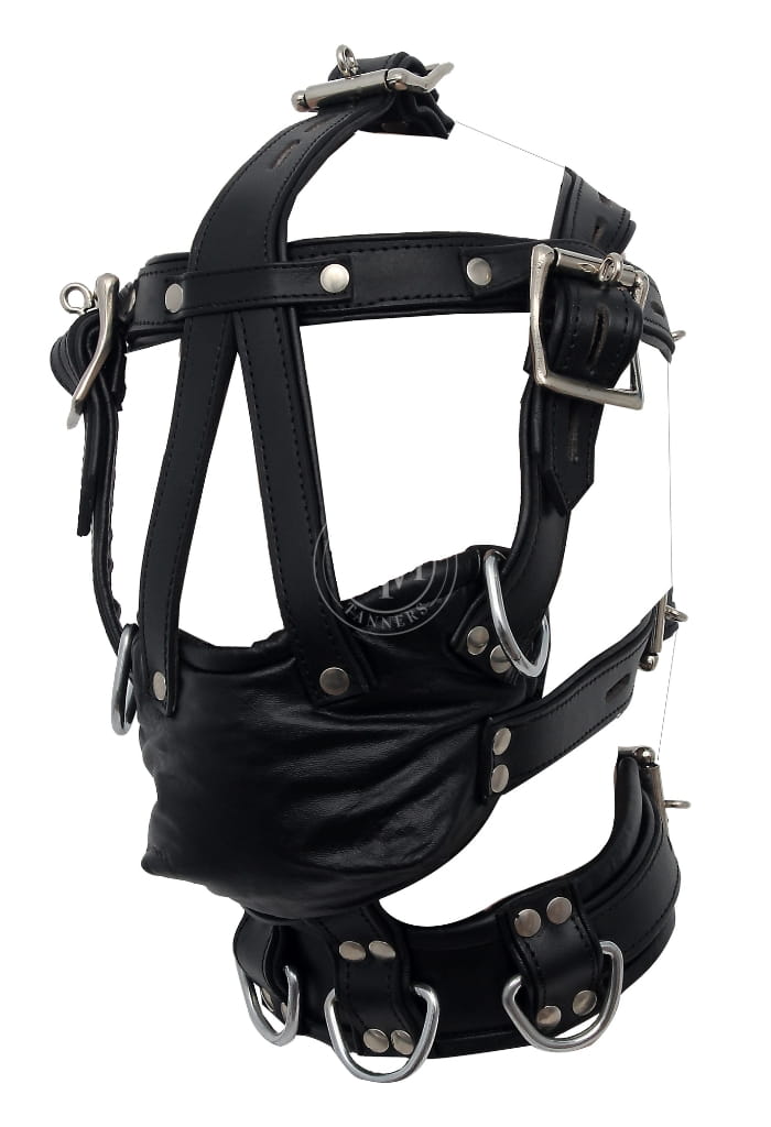 Harness Muzzle Gag - Full Head Restraint, view 3
