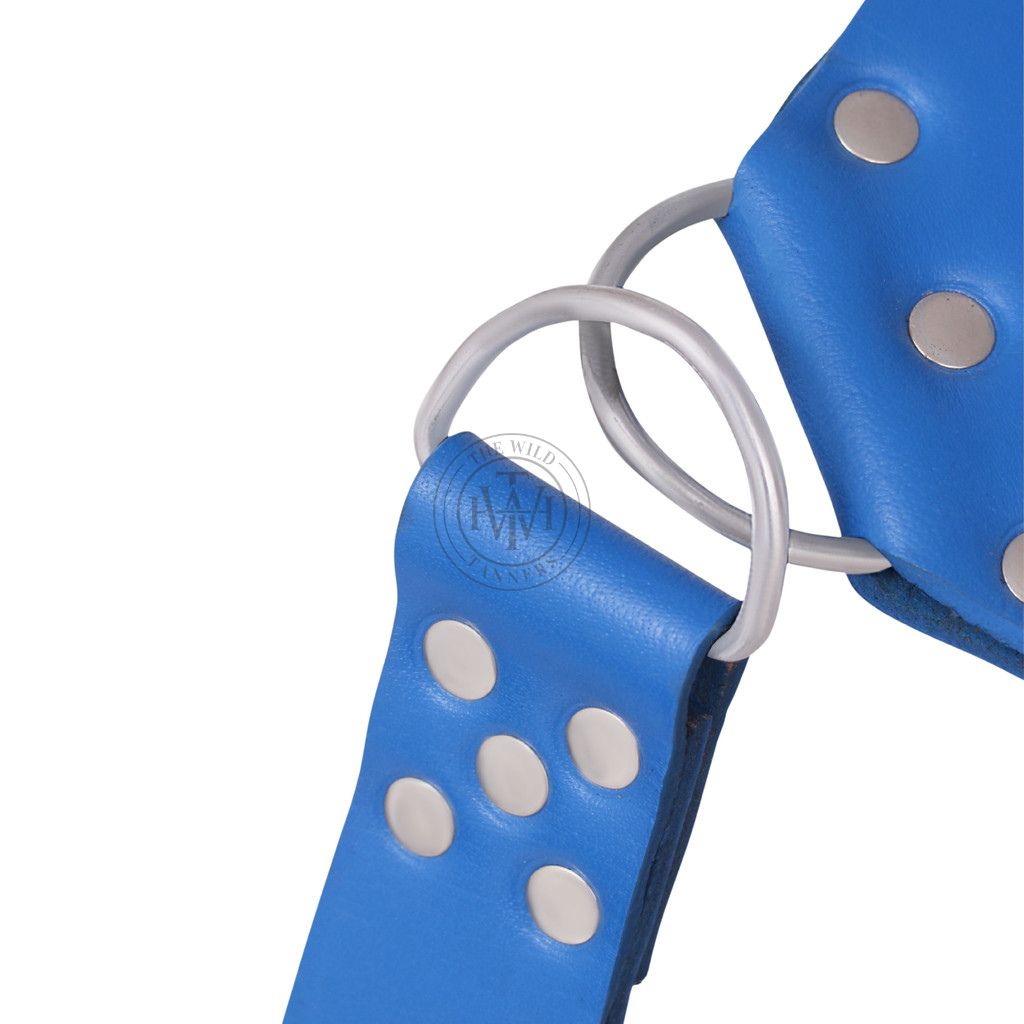 Blue Heavy-Duty Leather Sex Sling, view 4
