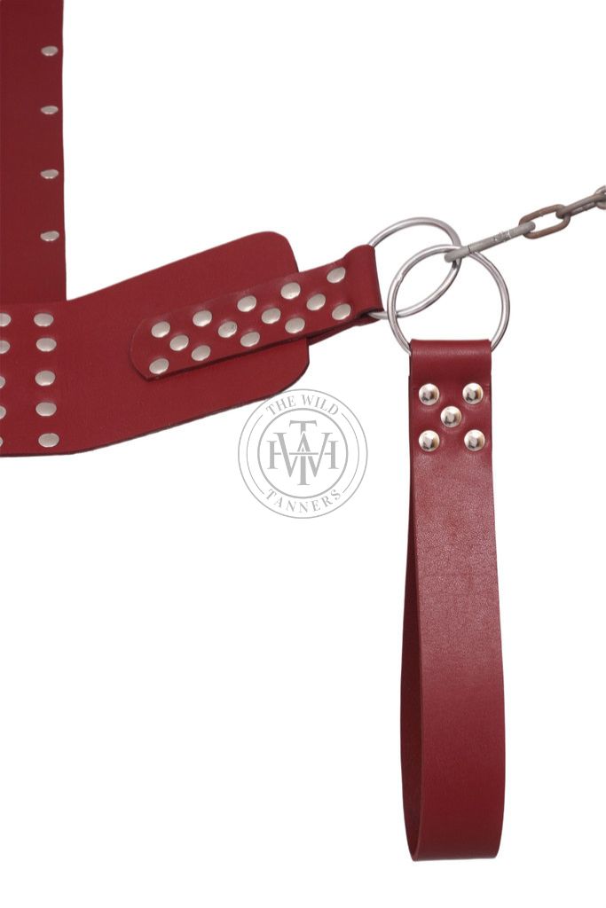 Brown Genuine Leather Bondage Sex Swing, view 4
