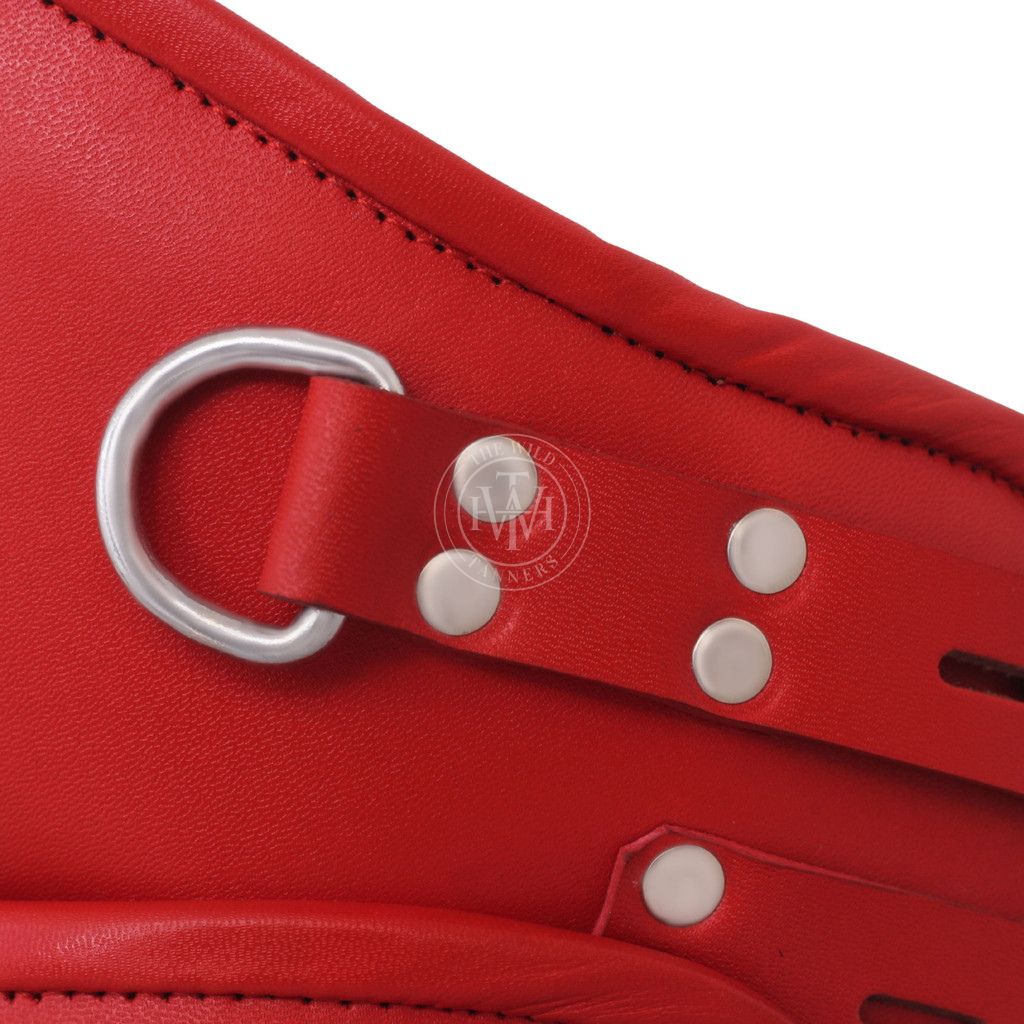 Red Leather Posture Collar With Locking Buckles, view 4