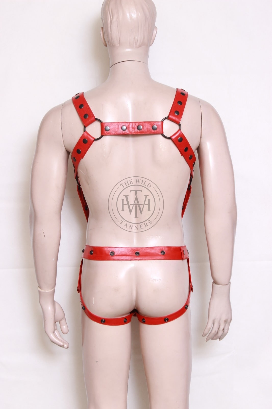 Leather bulldog harness with jockstrap and cock ring, view 4