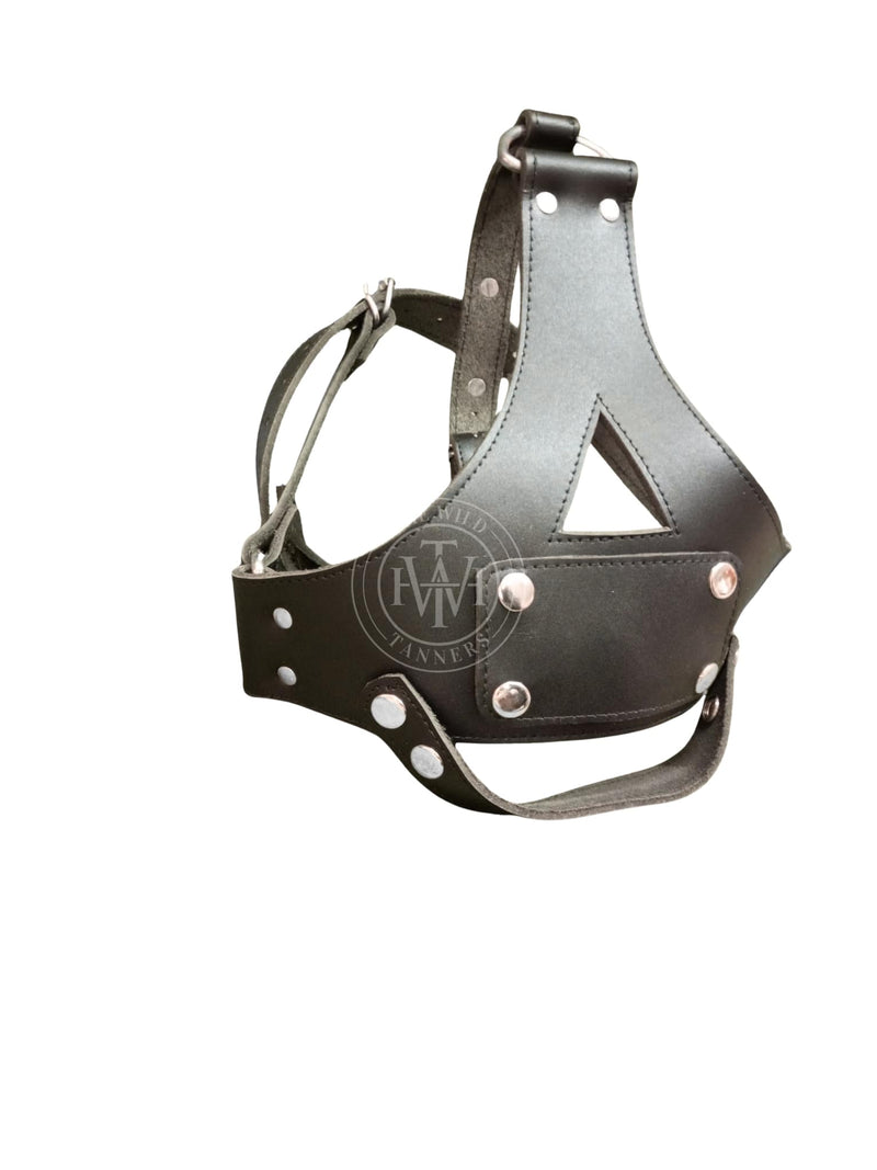 view of BDSM Muzzle With Gag