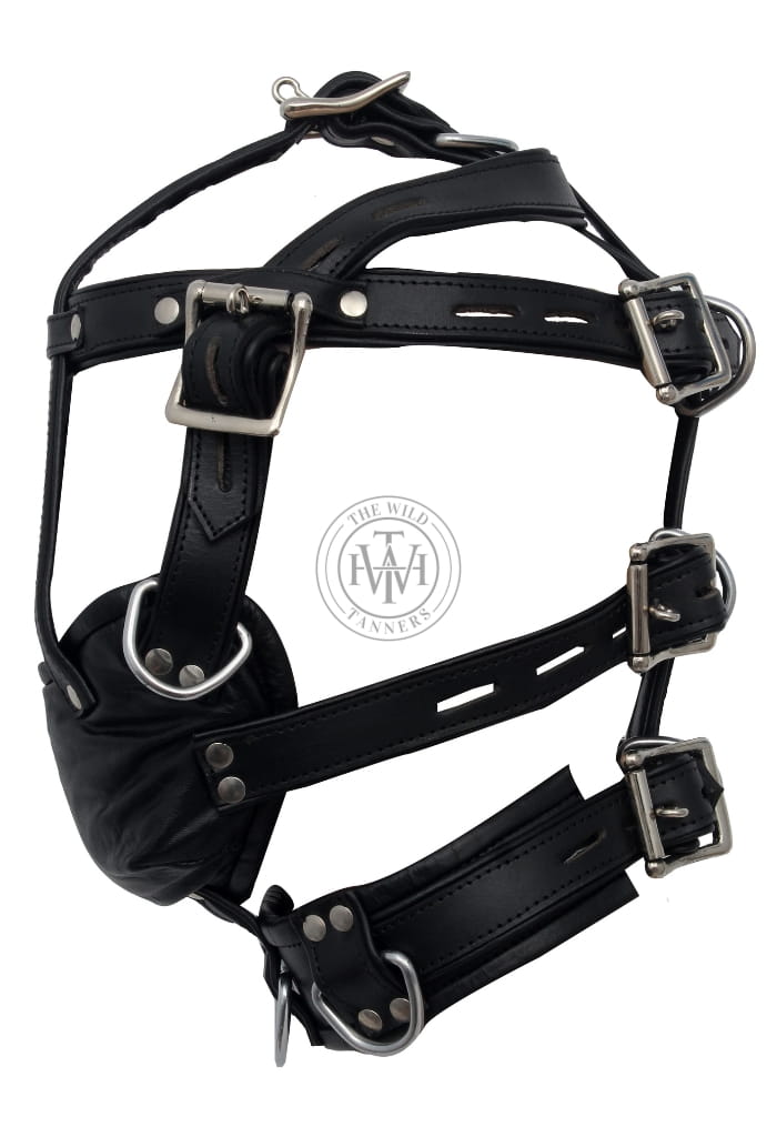Harness Muzzle Gag - Full Head Restraint, view 4