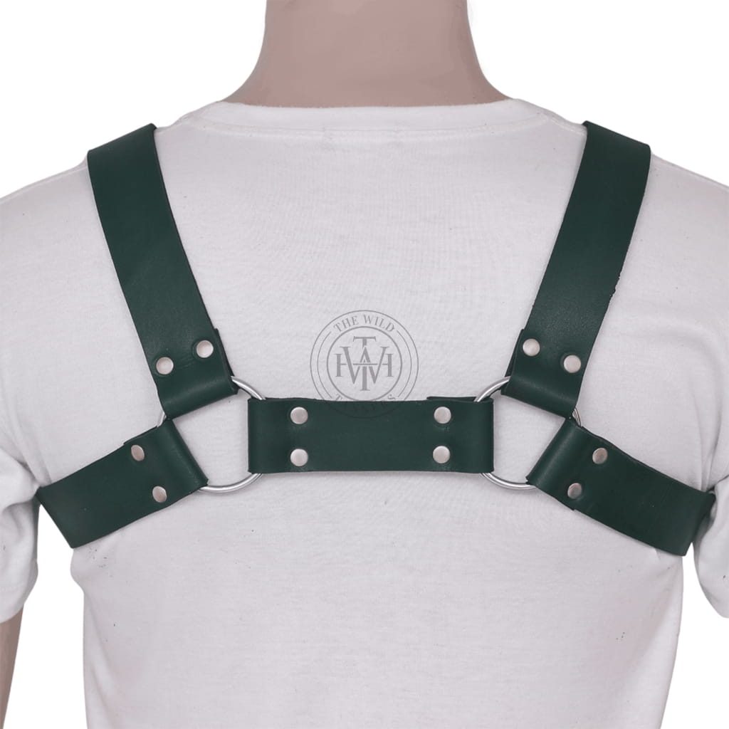 green leather gay mens harness with c-rings and centered d-ring