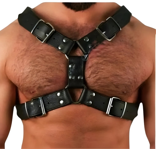 Mode wearing Bulldog Harness for Men