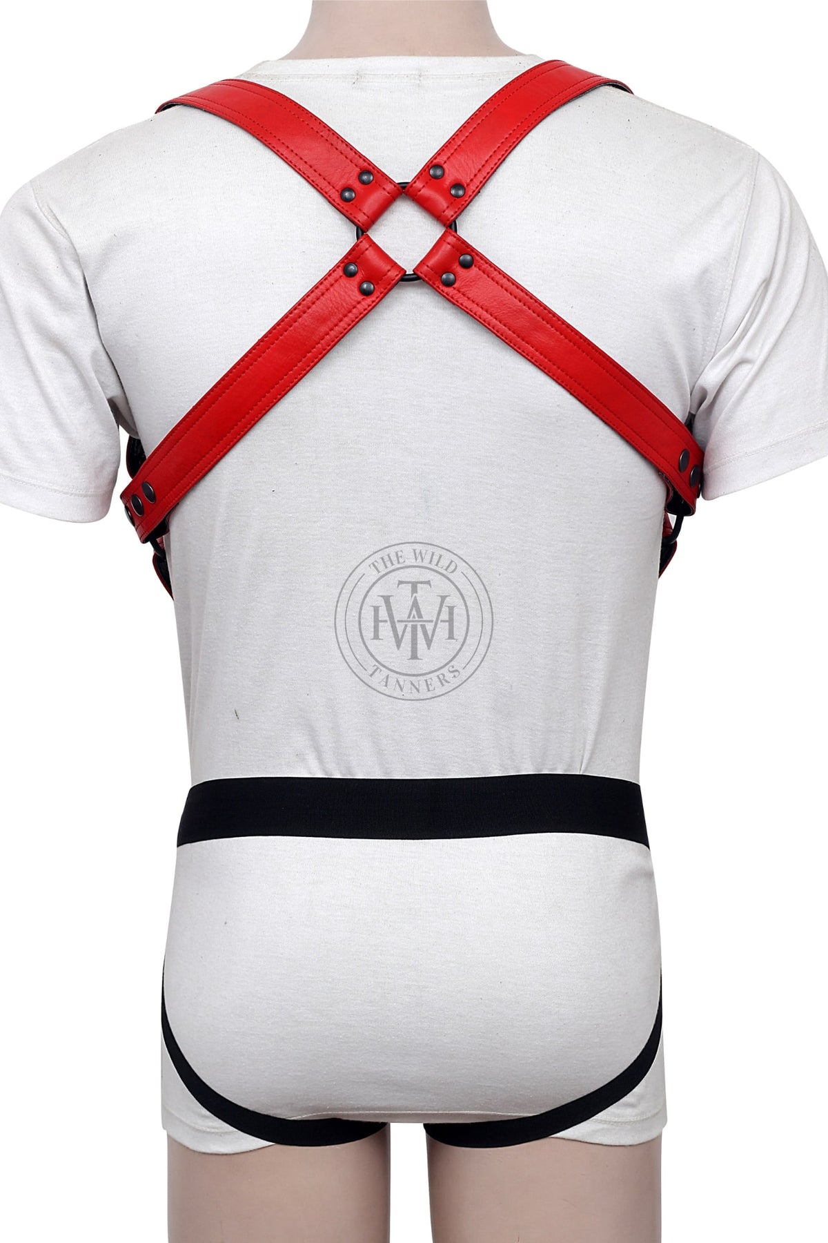 Leather Bondage Harness With Jockstrap & Snap Hooks, view 3