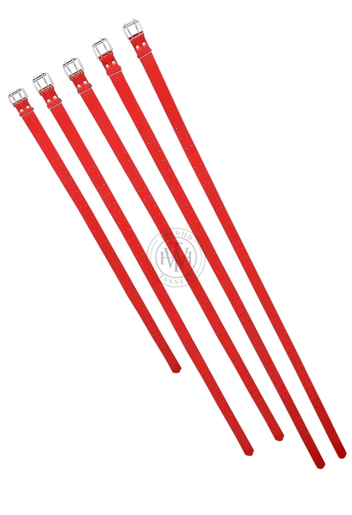 Leather Bondage Straps Set, view 5