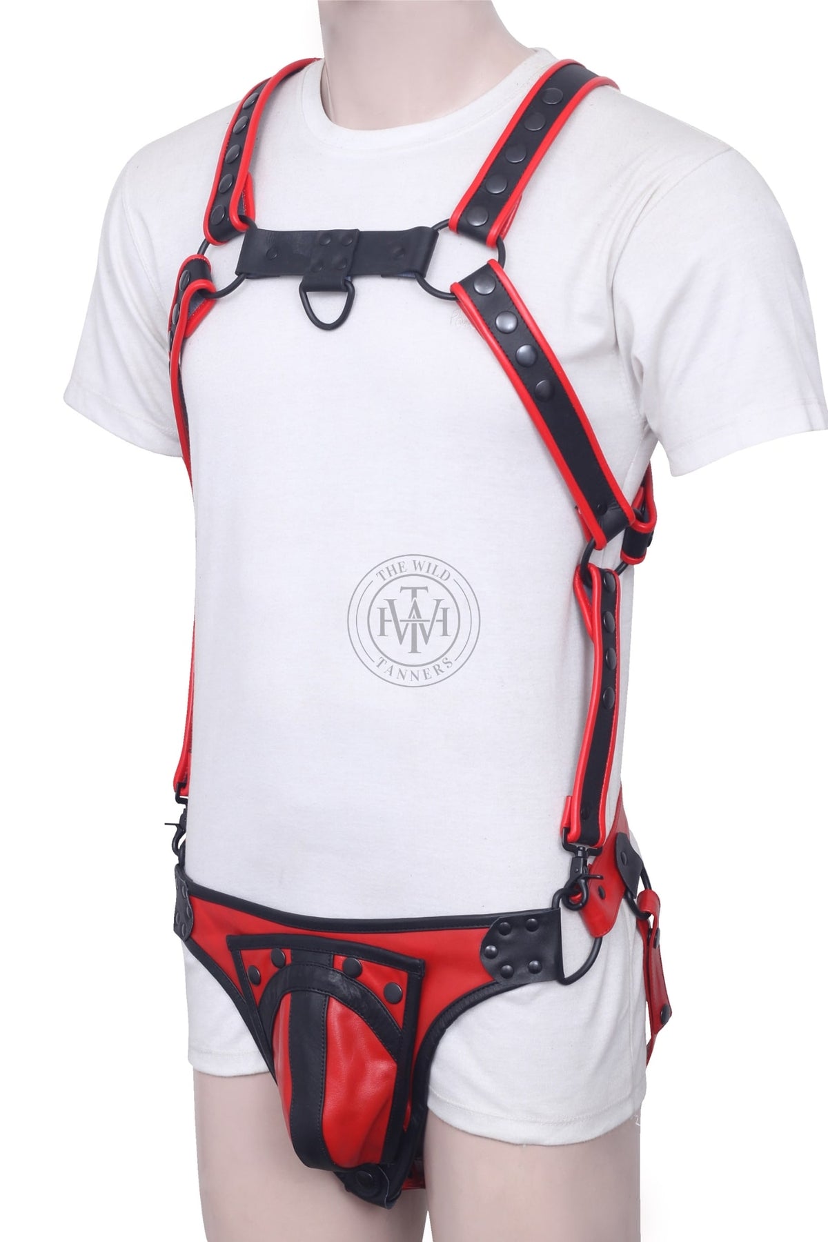 Men's leather body harness and jockstrap, view 2