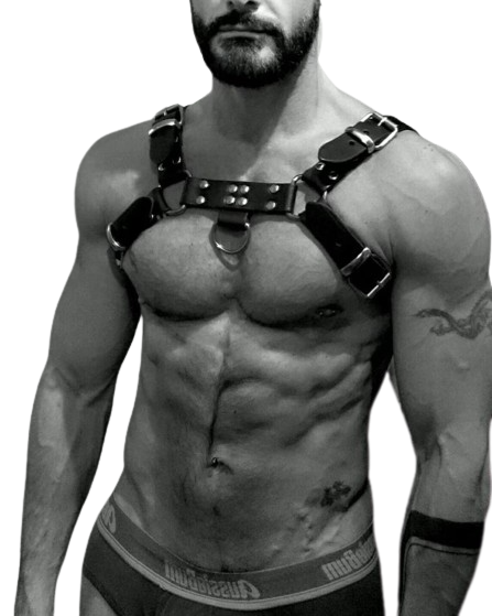 leather male chest harness with heavy roller buckles