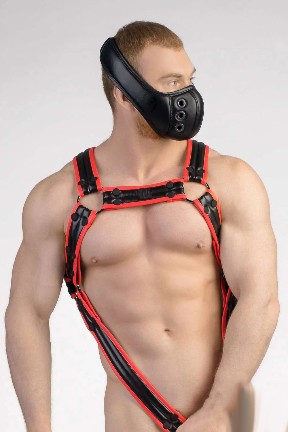 leather bulldog harness with cock ring & snap buttons