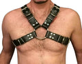Model wear Gay Chest Harness - Front image 