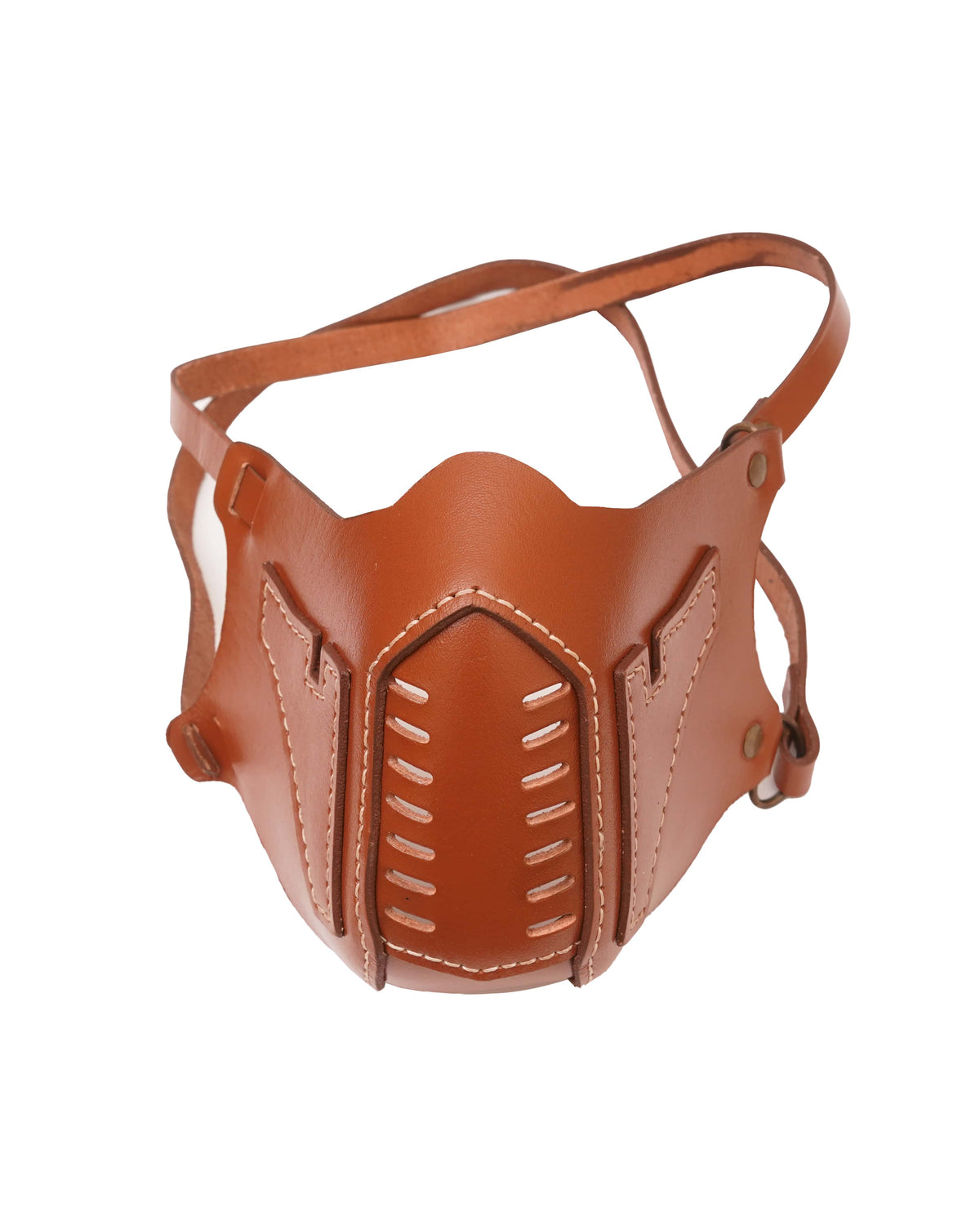 Leather Motorcycle Mask