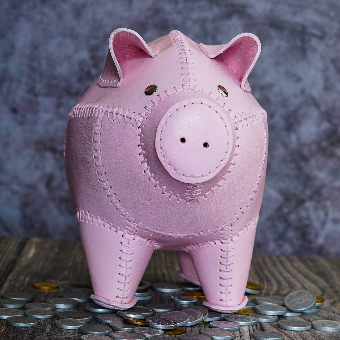 Genuine Leather Piggy Bank