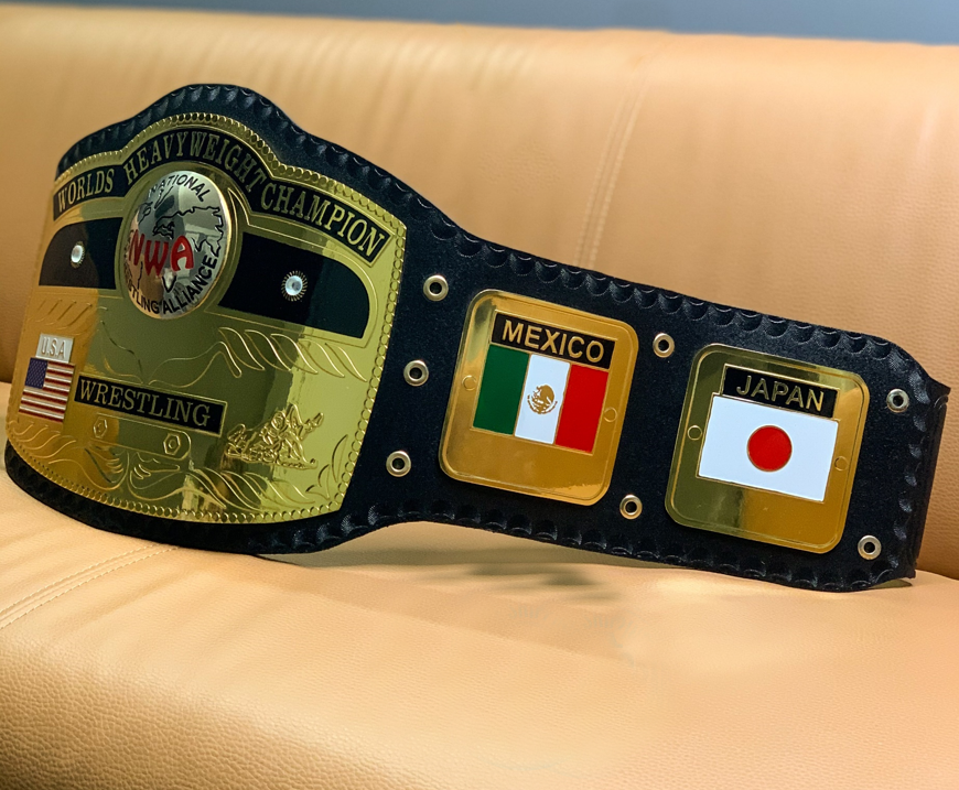 Domed Globe Heavyweight Championship Belt, view 4